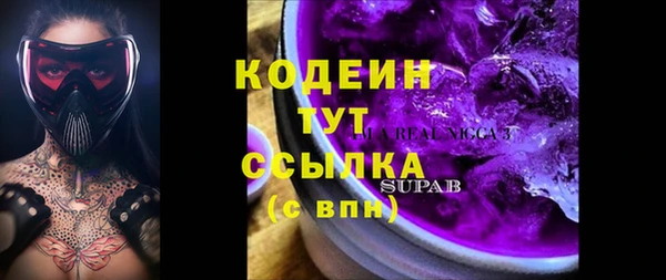 молекула духа Дмитров