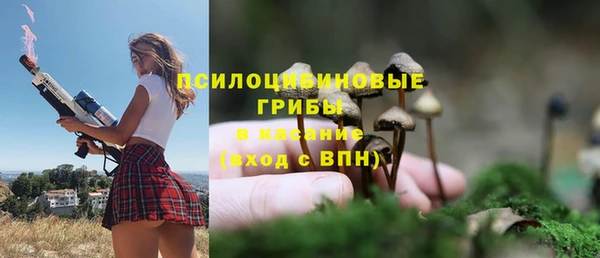 молекула духа Дмитров