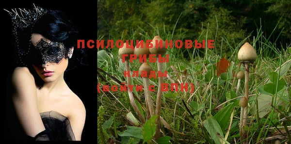 молекула духа Дмитров