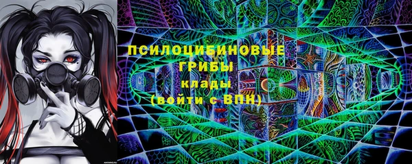 крисы Дмитровск