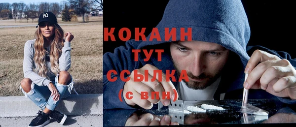крисы Дмитровск