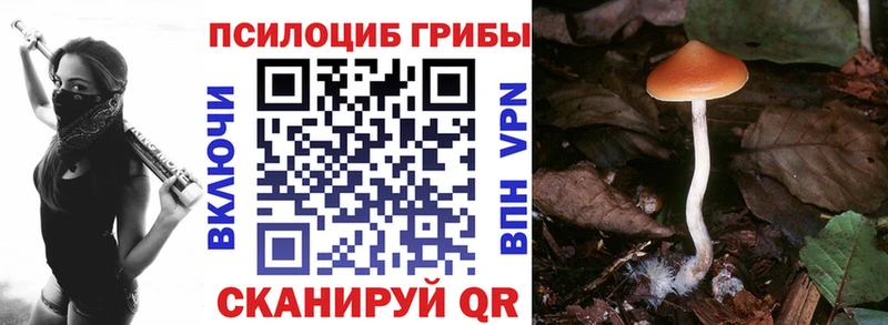 мориарти официальный сайт  Пересвет  Псилоцибиновые грибы мухоморы 